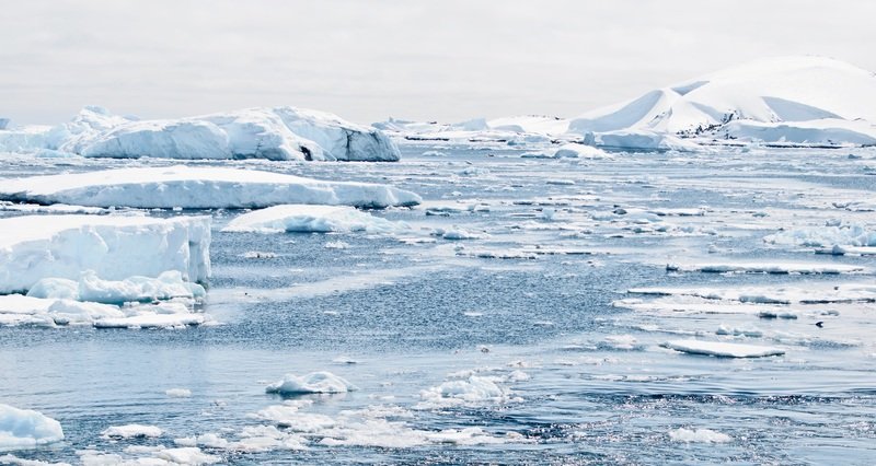 glaciers in the polar ice caps