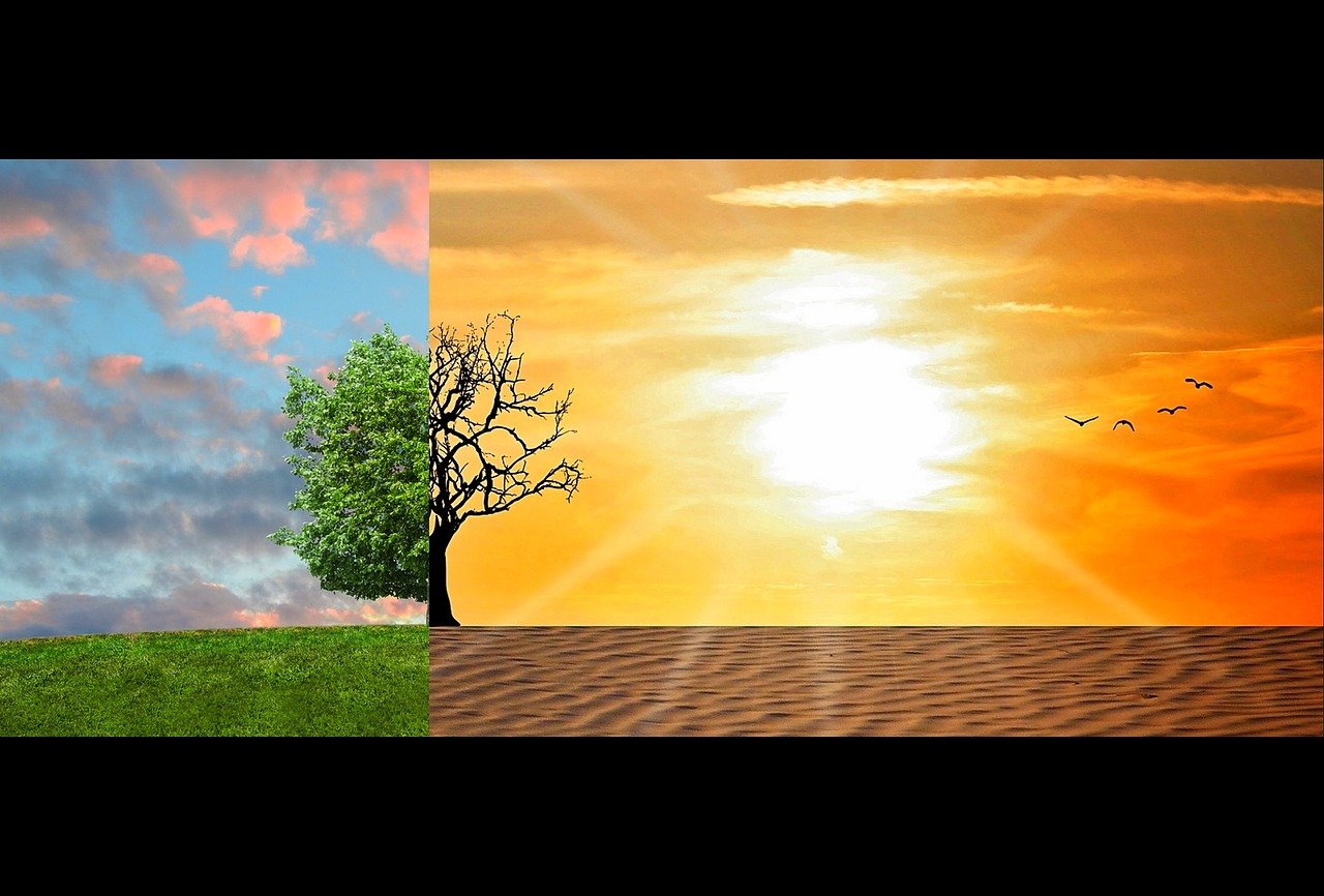 A picture showing before climate change and after